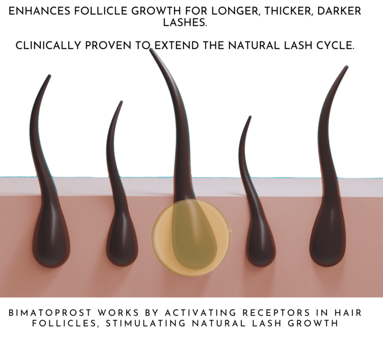 PPRX  PPRX  PPRX hair follicle